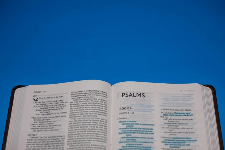 a opened bible with the word, pauls, printed in it