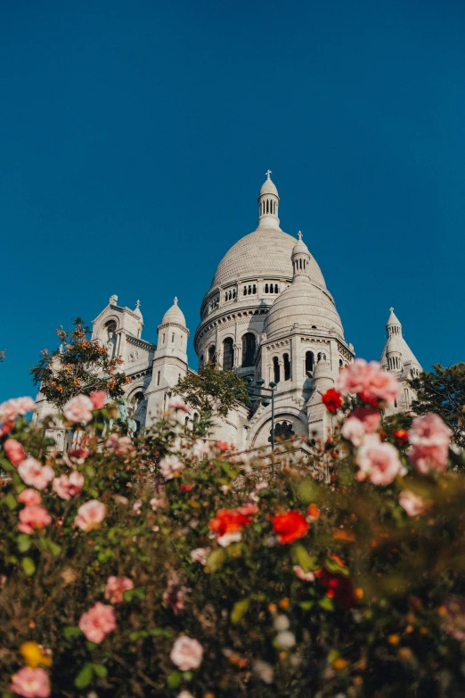 a building seen through the flowers under a blue sky