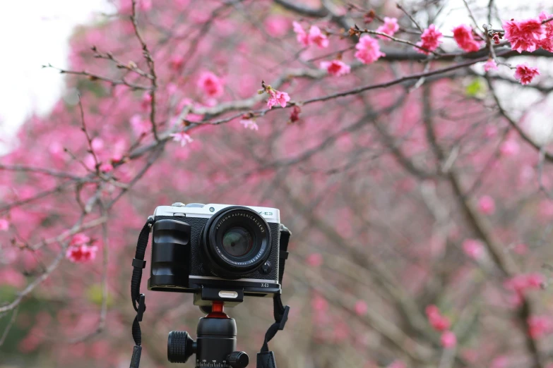 an old style camera is sitting on top of a tripod