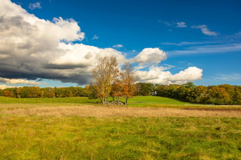 a grassy field in autumn surrounded by trees and clouds