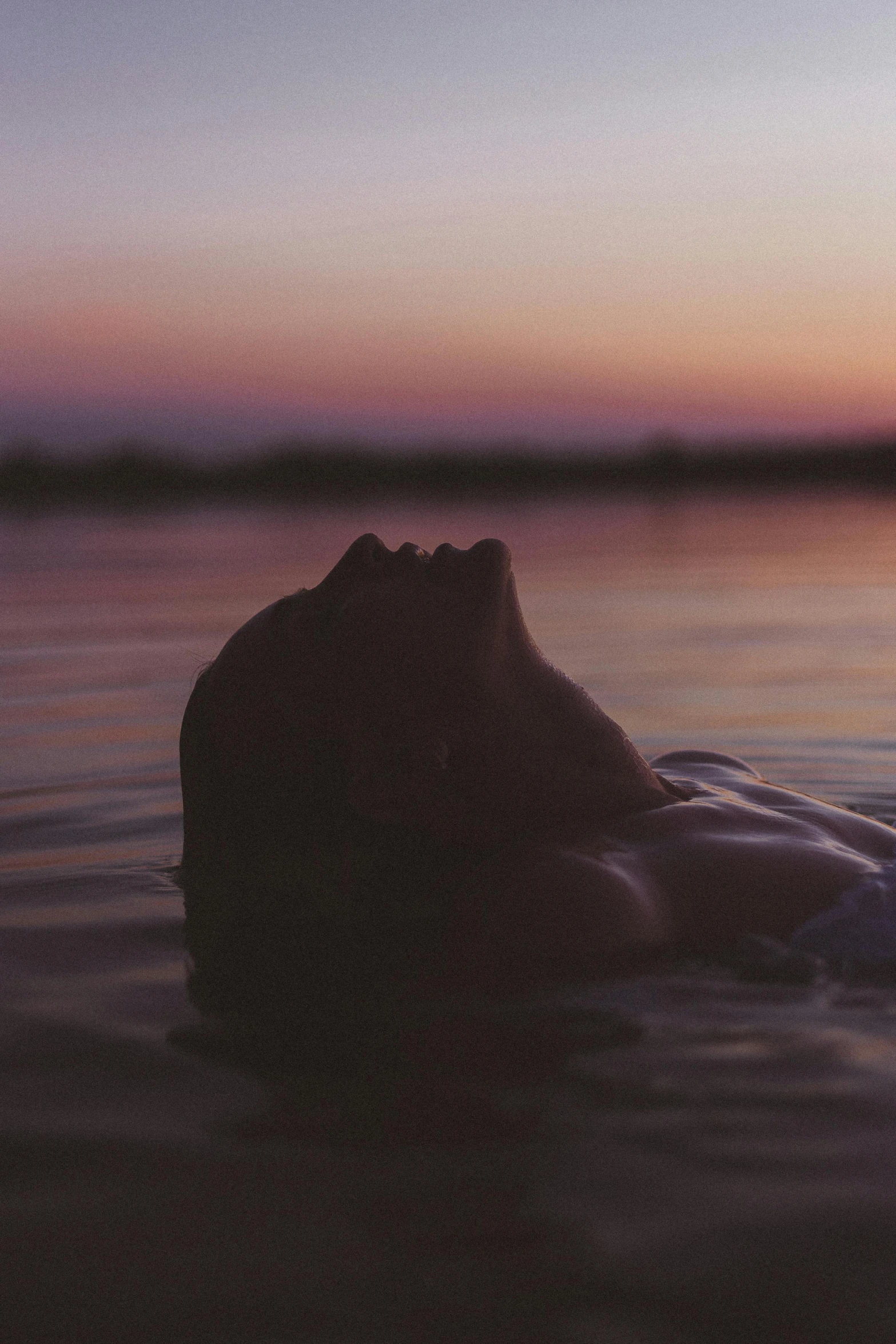 a person is submerged in water at sunset