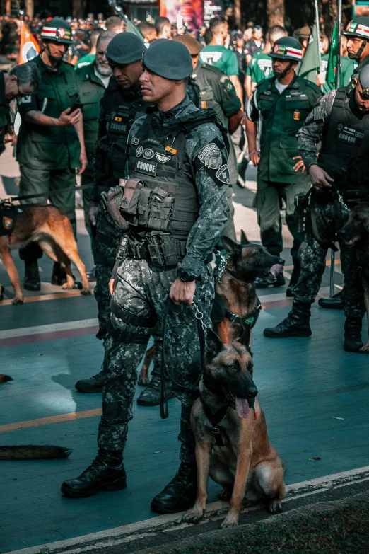 an image of military men at a dog show