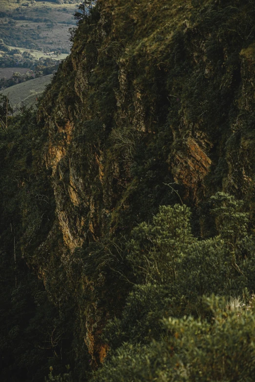 an aerial view of a forested hill near a city