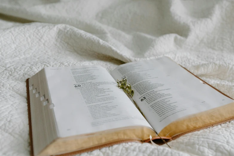 two book open on the bed, with a white cover