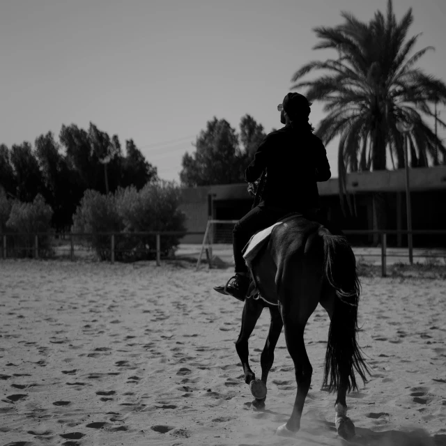 a person riding on the back of a horse