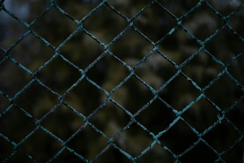 a black and white po of a wire fence