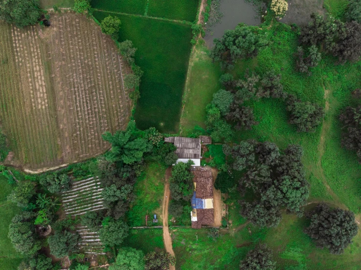 an aerial view of trees and a farm house