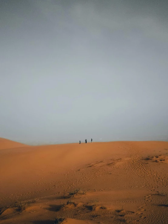 two people on horses riding through an arid desert
