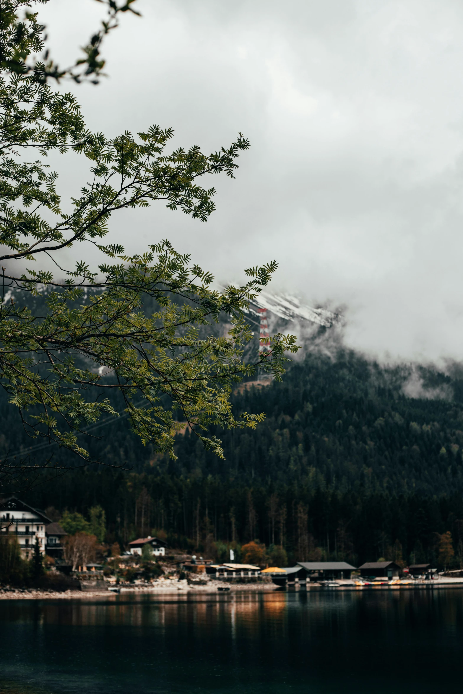 the trees are in front of a mountain lake