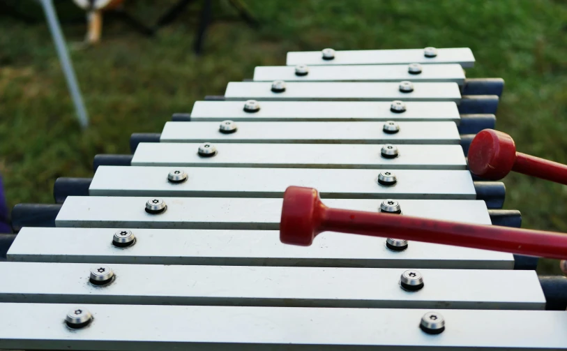 a group of small musical instruments that are in the grass