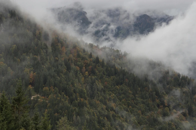 some clouds and trees on a hillside