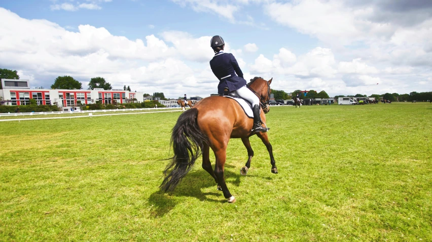 a person riding on the back of a brown horse