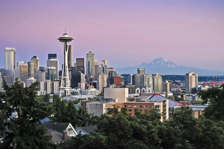 the city skyline has a view of mount rain