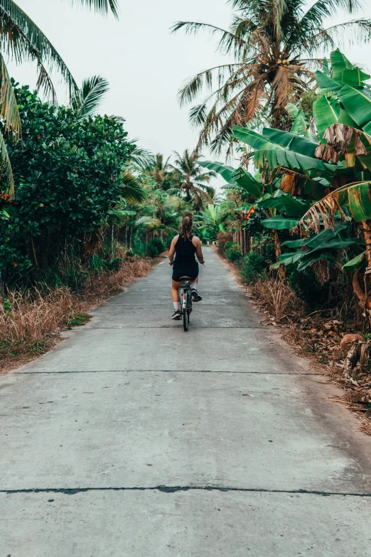 a man riding a bike down a road surrounded by lush palm trees