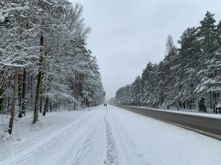 a narrow road in the woods covered in snow