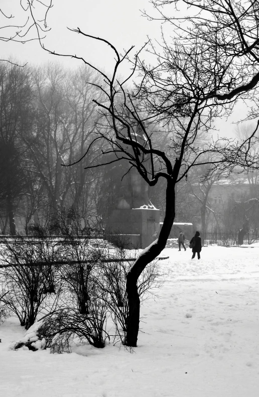 a person walking along the snow in a winter wonderland