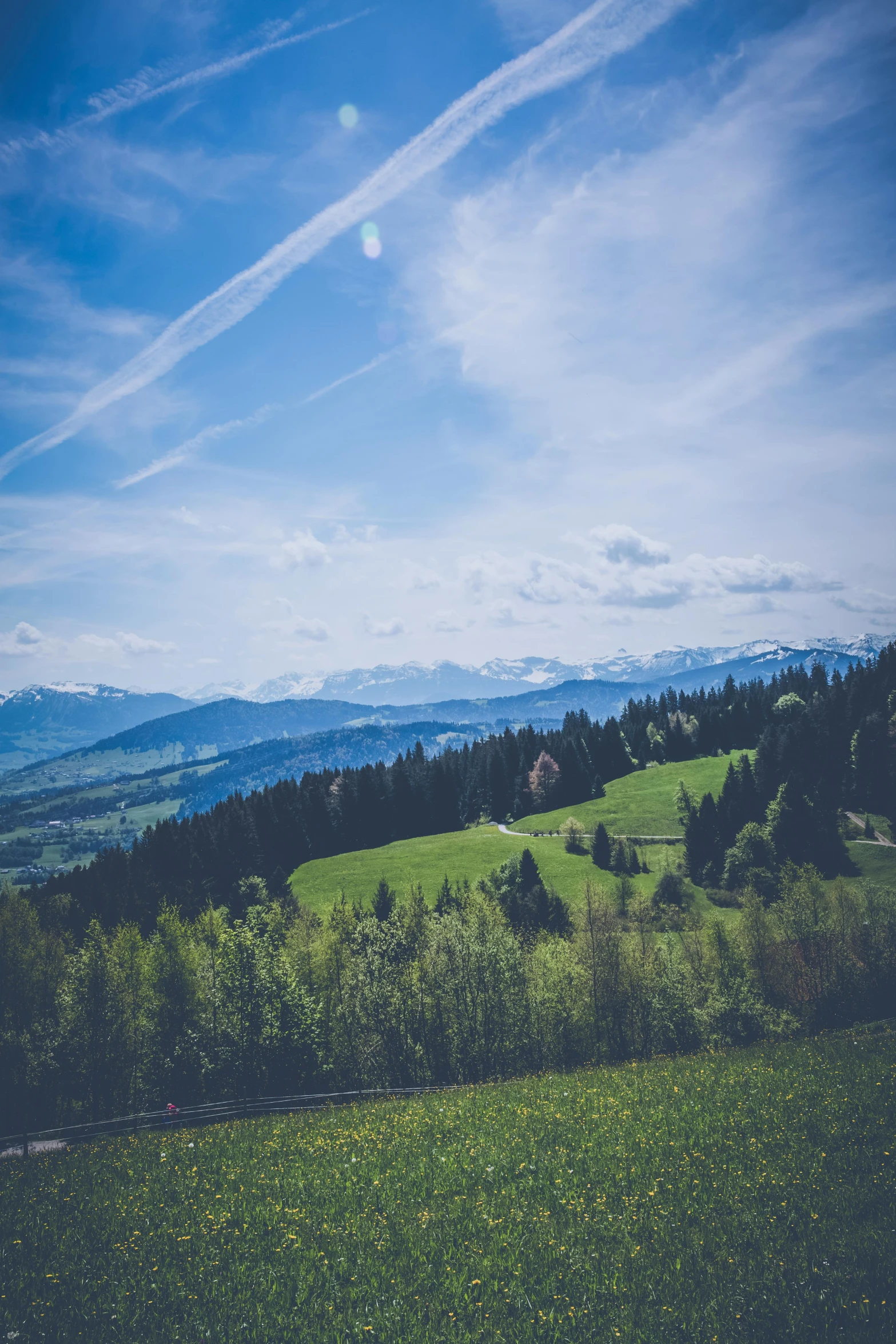 an empty grassy field surrounded by forest and mountains