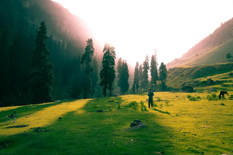 people and dogs at the bottom of a mountain grazing in the sunlight