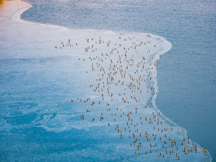 people walking around on the beach in winter