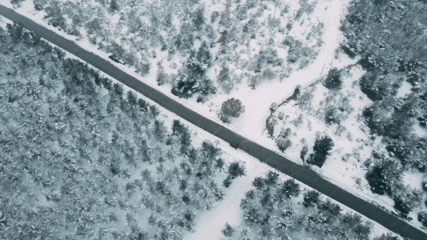 an aerial view of a road in the woods