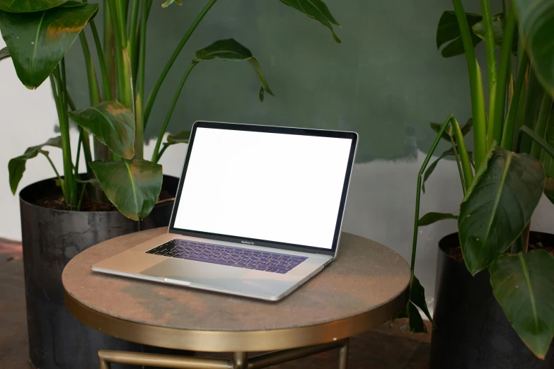 an open laptop on a table in front of plants