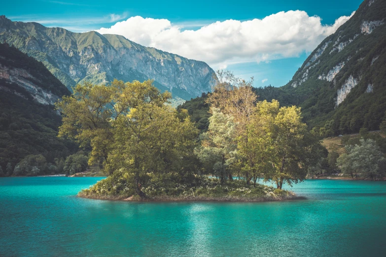 there is a small island with trees in the middle of a large lake