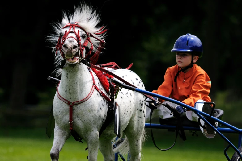 the small boy in an orange jacket is pulling a white horse