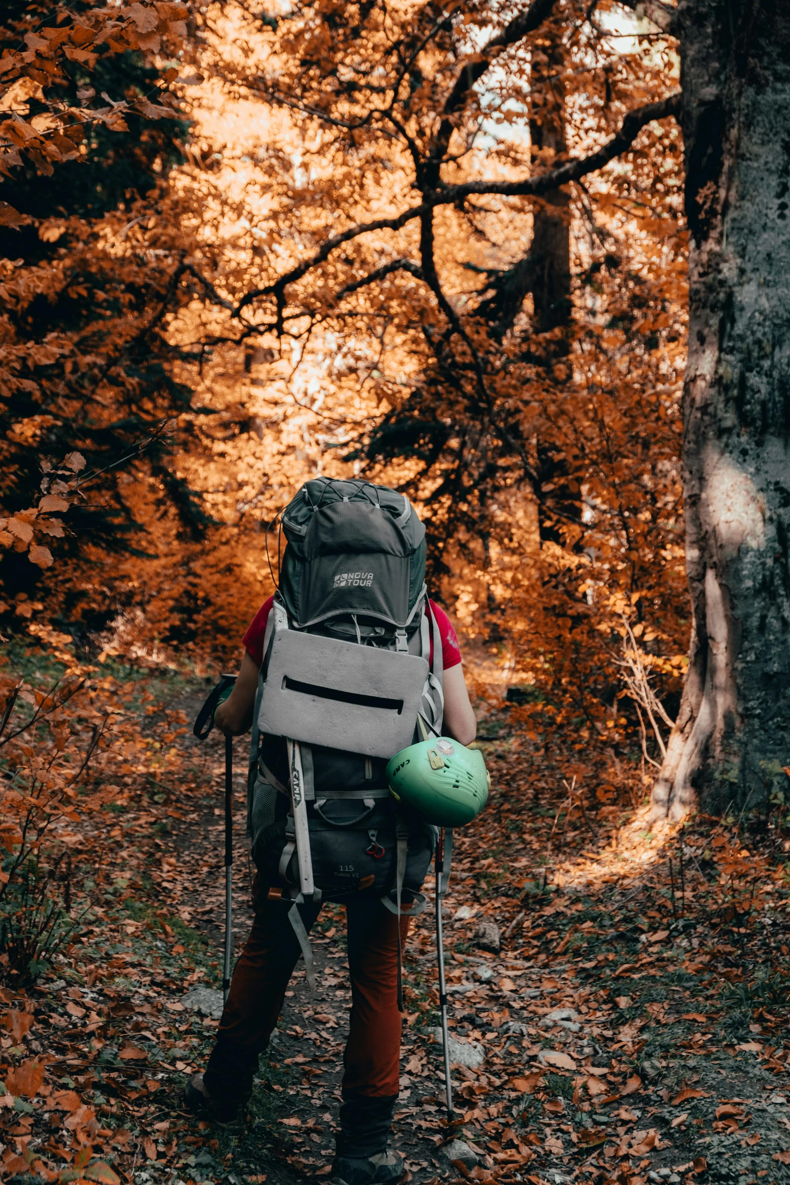 a person standing in a forest with a backpack