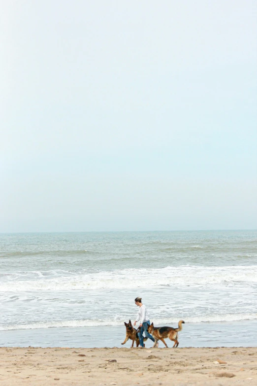 a man with two dogs walking on the beach