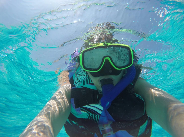 a person with snorkelos on their face swims in a swimming pool