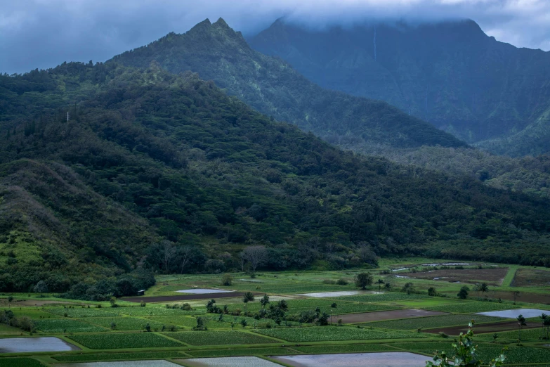 a lush green field sits below mountains