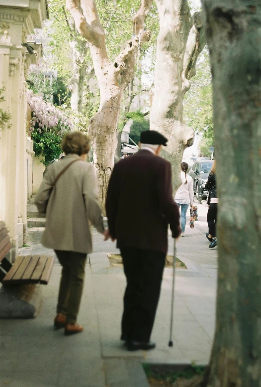 two people walking on sidewalk near tree and bench