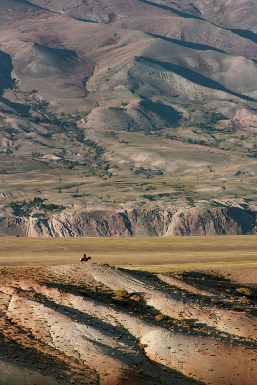 a horse is running on the sand of a plain