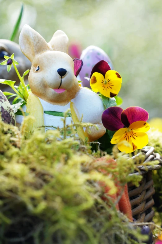 there are many small plants in this basket