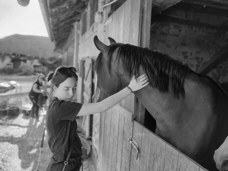 there is a  feeding the horse