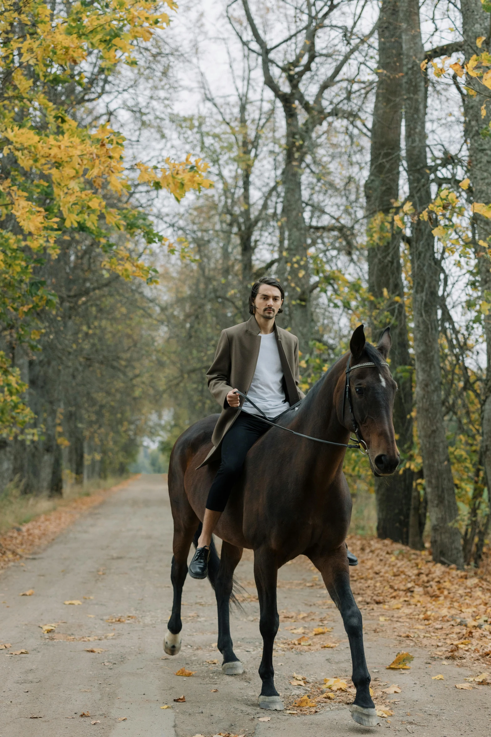 a young man riding on the back of a horse in a wooded area