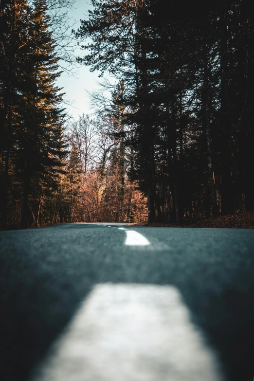 a tree lined street that appears to be a lonely place