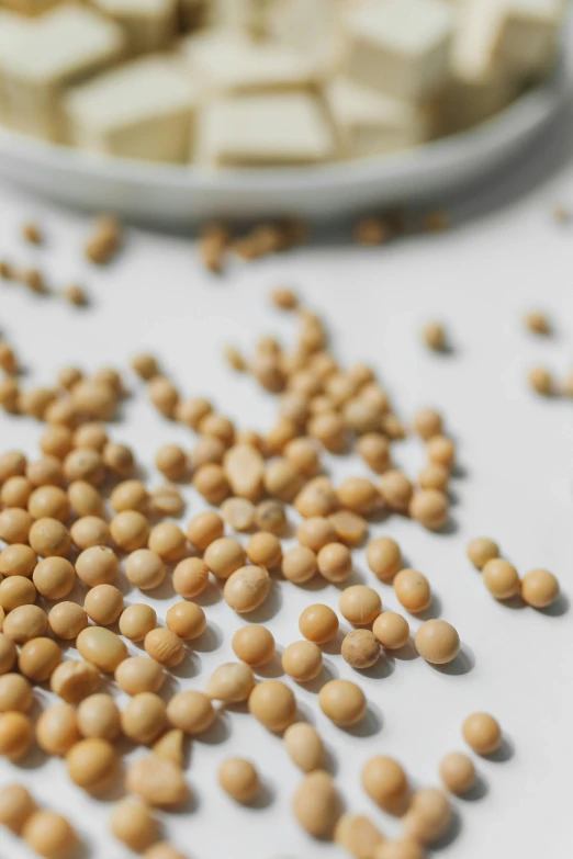 this is a closeup po of the chickpeas