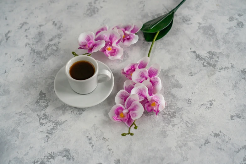 pink flowers with a cup of coffee on white background
