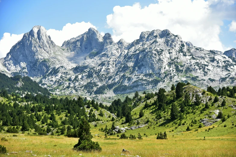 a view of mountains with no leaves on them