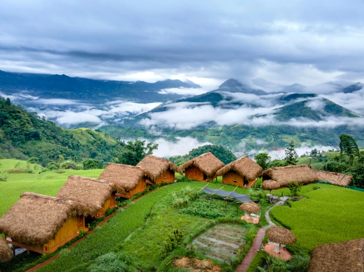 a couple of thatched roofs on top of some grass