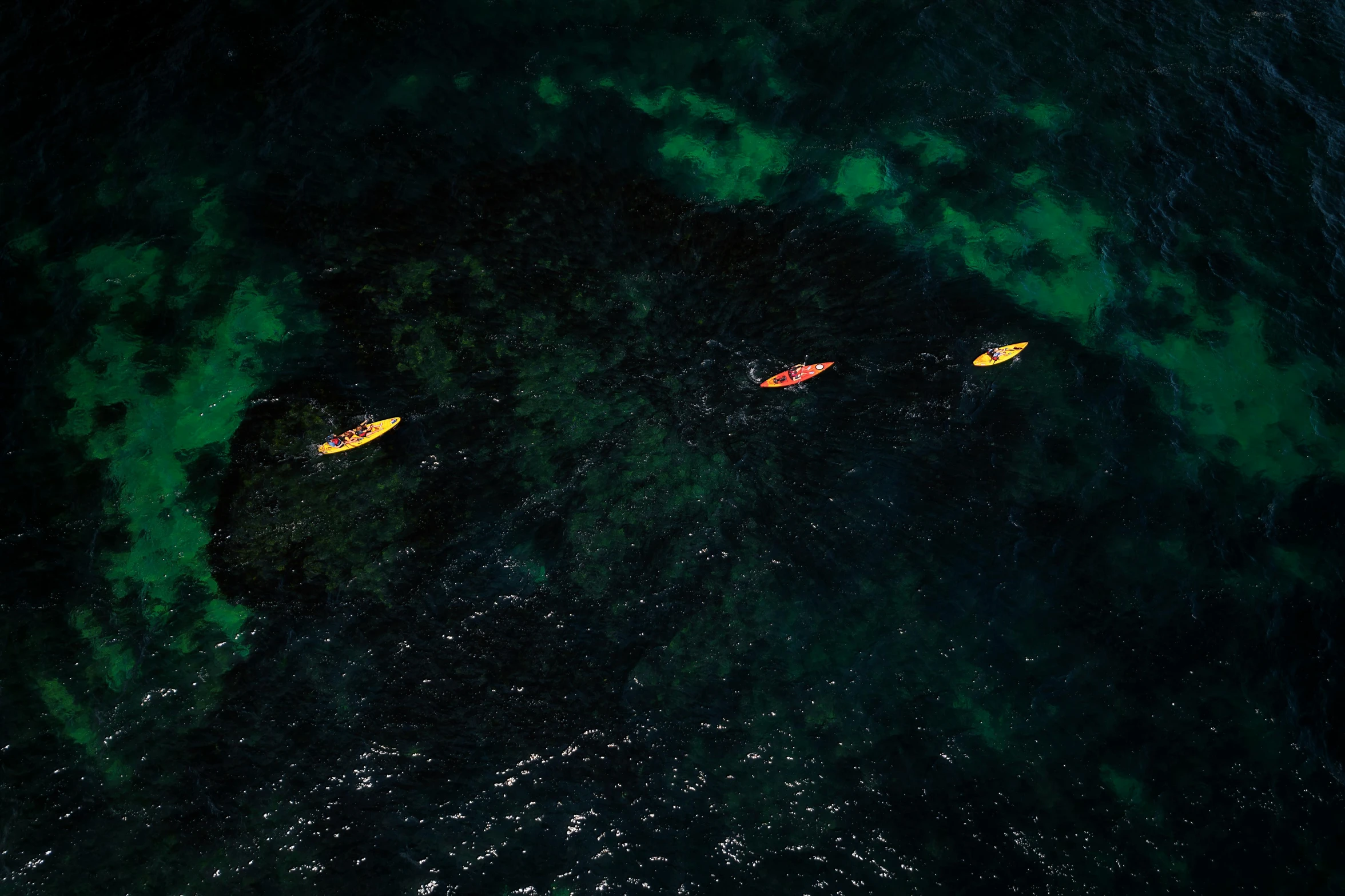 two people canoeing on the dark waters