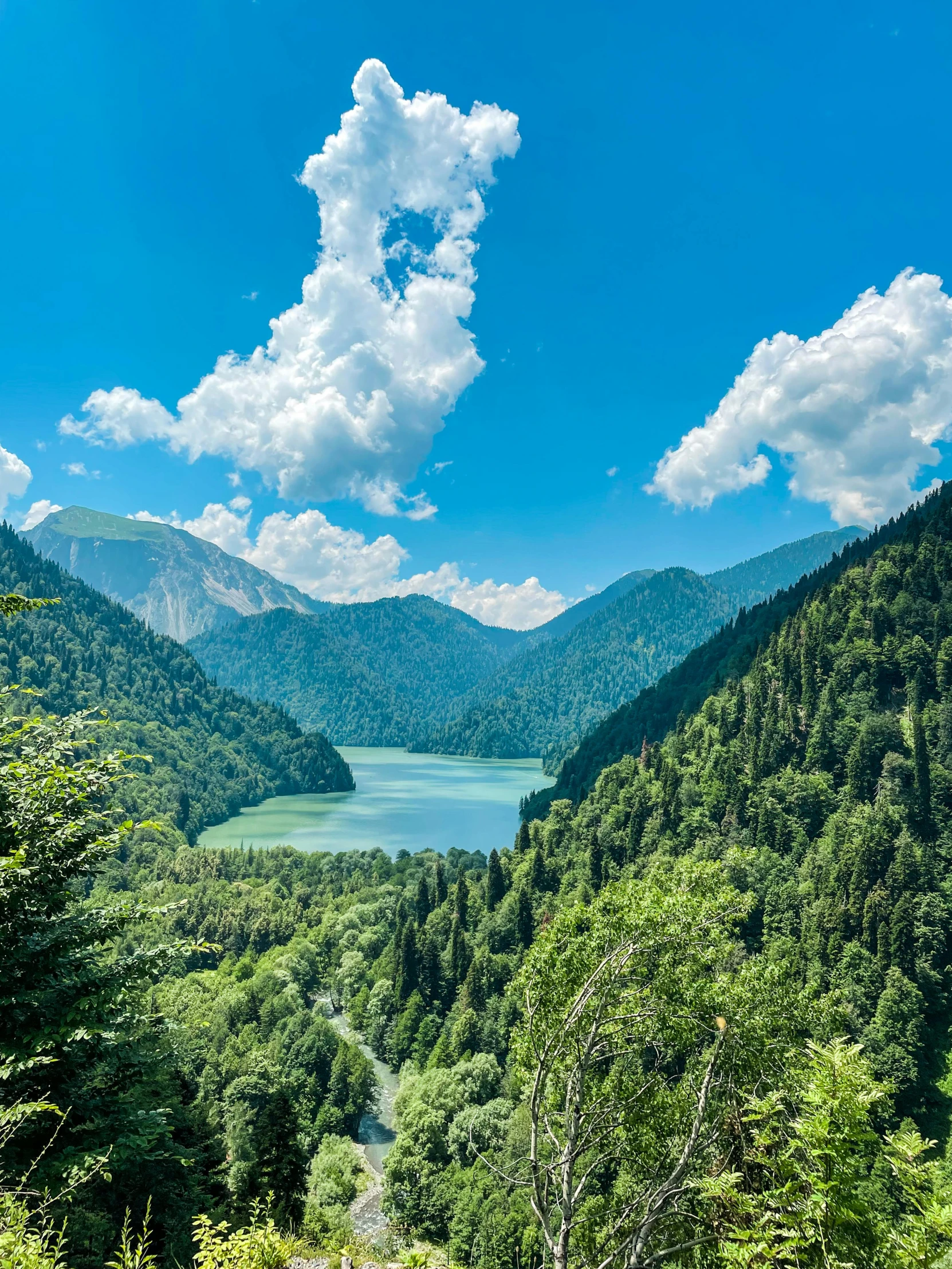 a scenic view of some water surrounded by trees