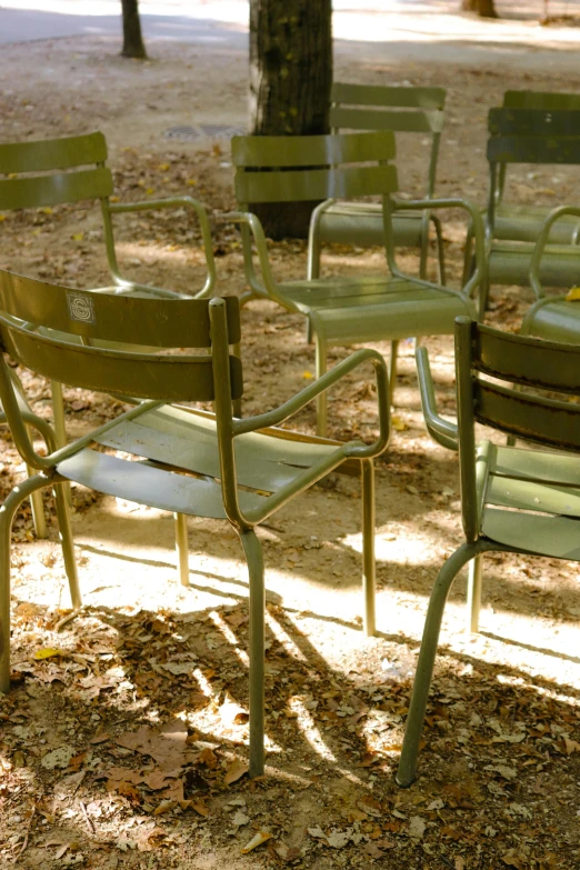 several empty chairs and benches by the trees