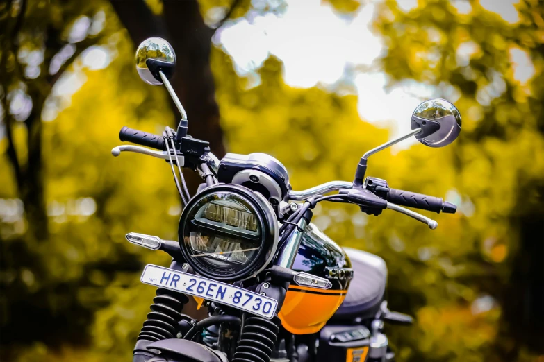 a motorcycle is parked near a tree with a license plate