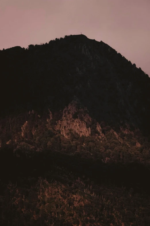 a large mountain with lots of trees on the side