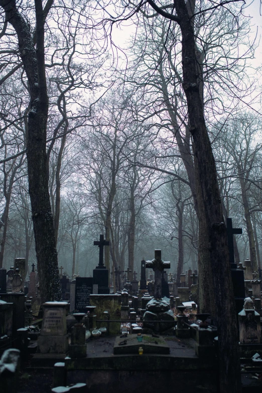 a cemetery with several headstones and trees