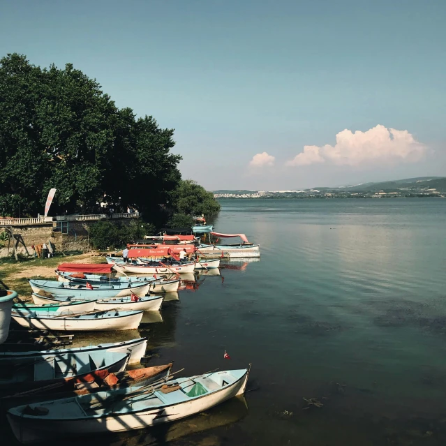 rows of empty boats in the water near shoreline