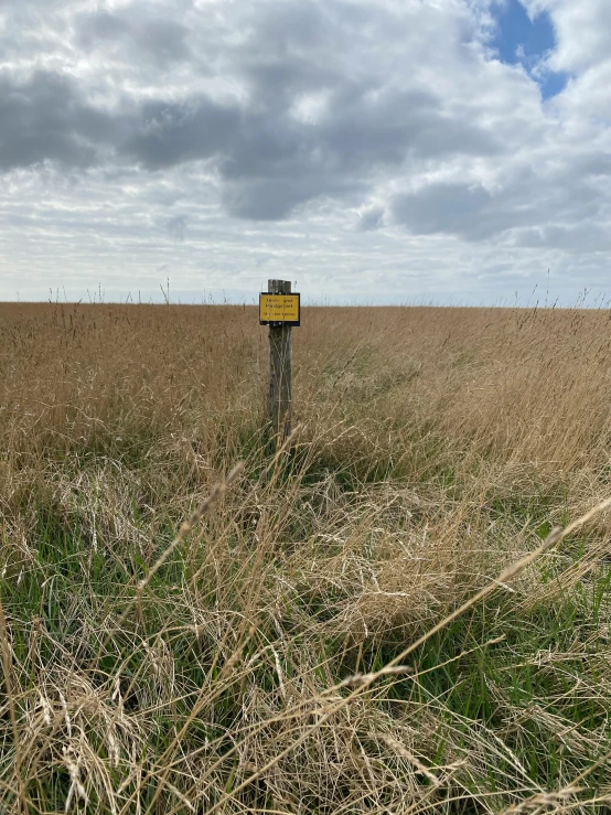 a field with dry grass and a street sign in the middle