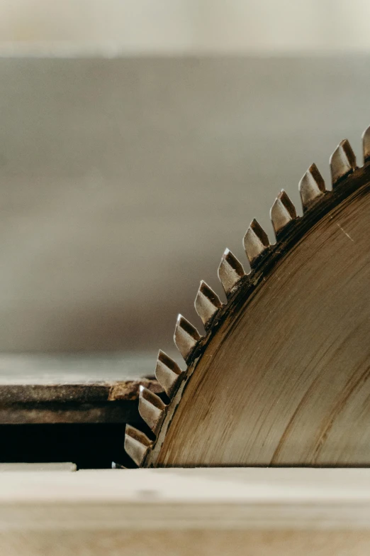 closeup of a circular saw blade on top of a table